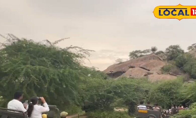 जवाई लेपर्ड सफारी जीप प्राइस अलर्ट: ठगी से कैसे बचें. Jawai Leopard Safari Price Cheating Alert: Know the Right Cost