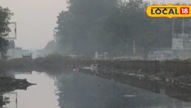 जहां दौड़ती थीं गाड़ियां, वहां उगी घास! भिवाड़ी का नेशनल हाईवे बना प्रशासनिक नाकामी की मिसाल