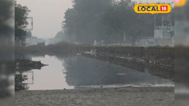 जिस नेशनल हाईवे पर दौड़ती थीं गाड़ियां, वहां अब उग आई घास, आप भी देखें वीडियो