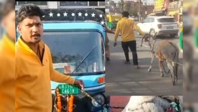 जोधपुर में अनोखा विरोध! ई-रिक्शा खराब हुआ तो गधे से खिंचवाया, वीडियो वायरल
