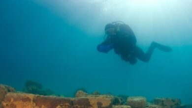 टेनेरिफ़े समुद्री पूल में तेज़ लहरों से पांच लोग बह गए, चार की मौत, एक लापता