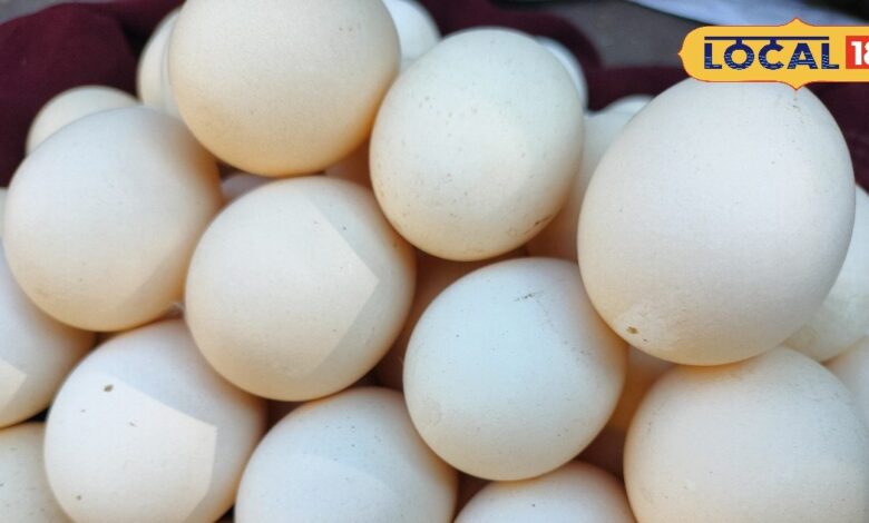 ठंड में बढ़ी देसी अंडों की डिमांड, कैसे करें असली-नकली की पहचान? जानें खाने के फायदे और सेवन का तरीका