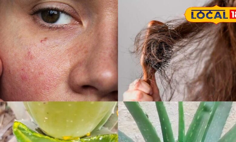ठंड में रूखी त्वचा और झड़ते बाल? एलोवेरा सबसे असरदार, ऐसे करें इस्तेमाल - Chhattisgarh News