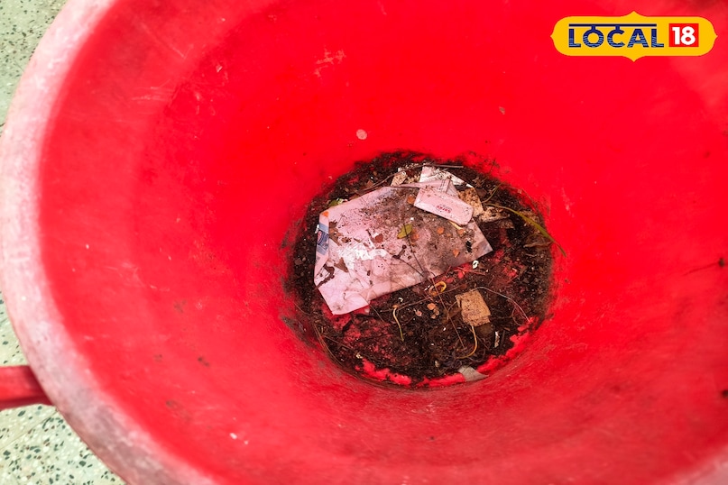 Dustbin Cleaning Tips – घर का डस्टबिन कैसे रखें बदबू-रहित