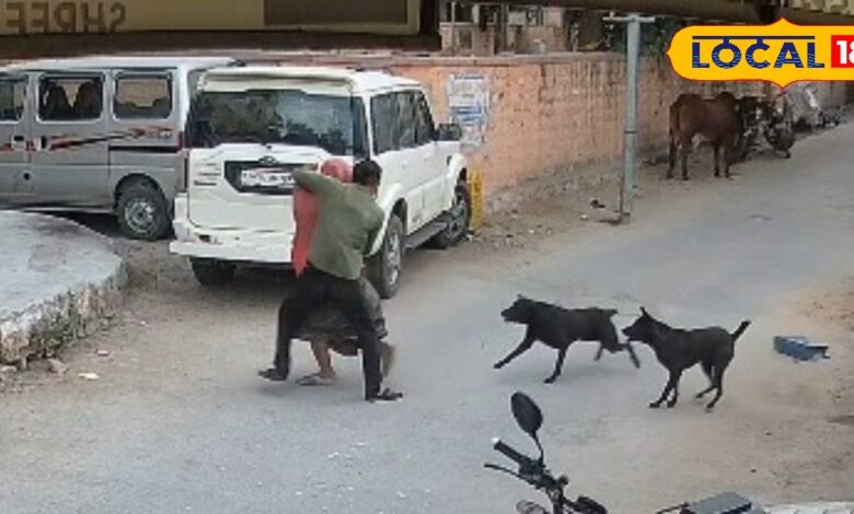 डॉग अटैक के बीच दौड़ती-भागती नहीं, सूझबूझ से महिला ने ऐसे बचाई अपनी जान, CCTV में कैद पूरा वीडियो देखिए