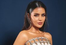 'तुलना होना आम है, इससे घबराने की जरूरत नहीं', 'नागिन 7' के लिए कड़ी मेहनत कर रहीं प्रियंका चौधरी