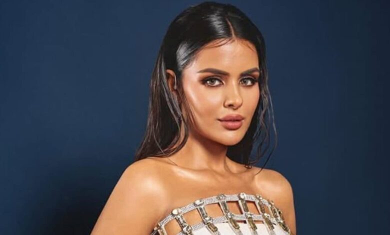 'तुलना होना आम है, इससे घबराने की जरूरत नहीं', 'नागिन 7' के लिए कड़ी मेहनत कर रहीं प्रियंका चौधरी