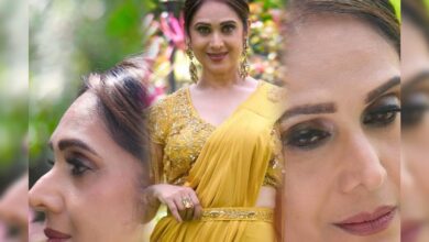 'तोता मेरे तोता' गाने को मीनाक्षी शेषाद्रि ने किया रिक्रिएट, गोल्डन साड़ी में दिखाए धांसू डांस मूव्स