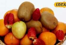 दवा नहीं, फल करेंगे कमाल! सर्दियों में रोज खाएं ये 6 चीजें, पेट रहेगा एकदम फिट - Uttar Pradesh News