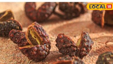 दांत दर्द से तड़प रहे हैं? पहाड़ों के तिमूर में इसका चमत्कारी इलाज, ये सदियों पुराना सच्चा डेंटिस्ट - Uttarakhand News