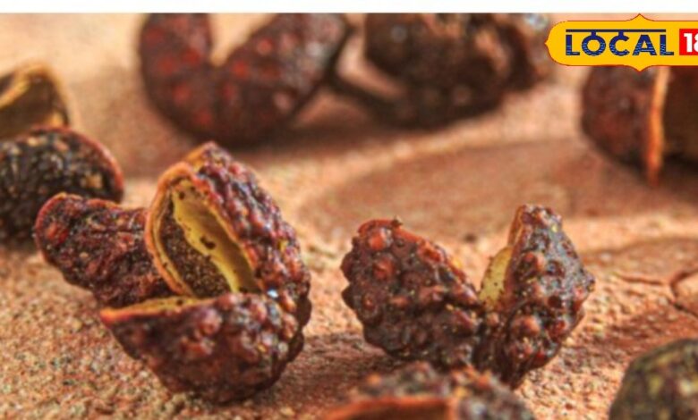 दांत दर्द से तड़प रहे हैं? पहाड़ों के तिमूर में इसका चमत्कारी इलाज, ये सदियों पुराना सच्चा डेंटिस्ट - Uttarakhand News