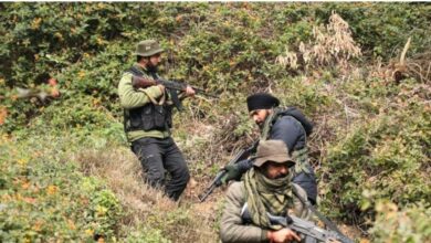 दिल्ली ब्लास्ट की गुत्थी अनंतनाग के जंगलों में, NIA तलाश रही 'मिसिंग लिंक', आरोपी आदिल और जसीर ही बने गाइड