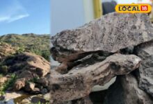 देश में हलचल मचाने वाली खोज! बाड़मेर में मिला लाखों करोड़ का रेयर अर्थ, जानें क्यों कहा जा रहा ‘फ्यूचर गोल्ड’