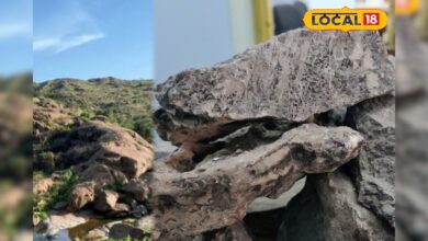 देश में हलचल मचाने वाली खोज! बाड़मेर में मिला लाखों करोड़ का रेयर अर्थ, जानें क्यों कहा जा रहा ‘फ्यूचर गोल्ड’