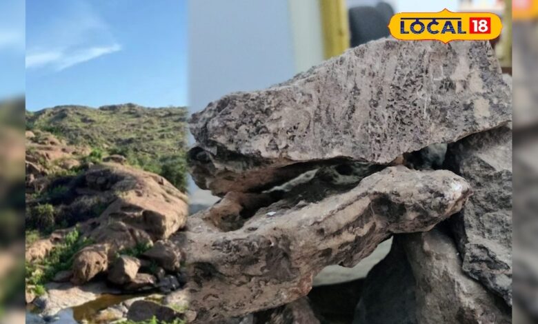 देश में हलचल मचाने वाली खोज! बाड़मेर में मिला लाखों करोड़ का रेयर अर्थ, जानें क्यों कहा जा रहा ‘फ्यूचर गोल्ड’