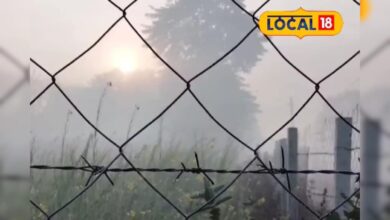 दौसा में अचानक ऐसा घना कोहरा! क्या आपने देखा ये यह नज़ारा, वीडियो