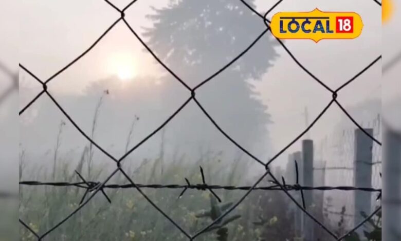 दौसा में अचानक ऐसा घना कोहरा! क्या आपने देखा ये यह नज़ारा, वीडियो