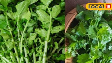 धनिया-मूली के पत्तों में छुपा है सुपर मेडिसिन, जो कर दे शरीर को अंदर से शुद्ध!