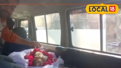 धौलपुर युवक ने मृत बंदर के बच्चे का अंतिम संस्कार किया