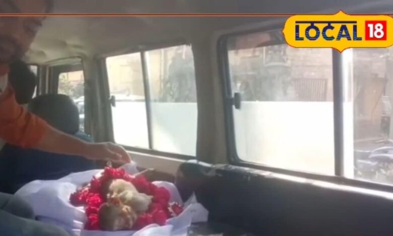 धौलपुर युवक ने मृत बंदर के बच्चे का अंतिम संस्कार किया