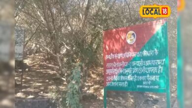 पर्यटक अचानक गायब, ट्रैकिंग के शौक में मौत के करीब, माउंट आबू का ये जंगल है डरावना! क्या है कहानी देखें वीडियो