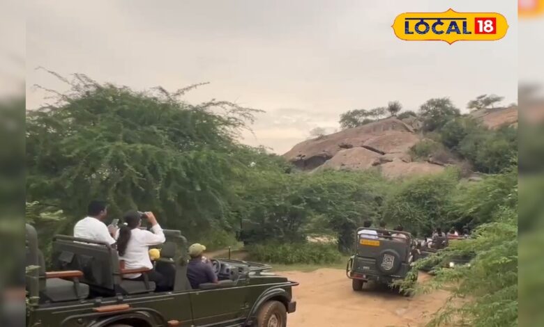 पर्यटकों को अलर्ट! जवाई लेपर्ड सफारी की जीप बुक करने से पहले असली प्राइस जान लें, ठगी के कई केस सामने आए