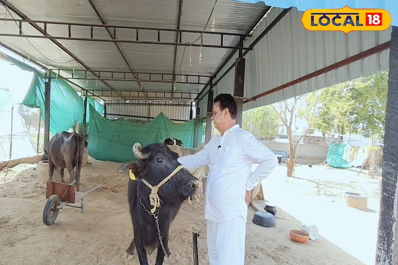 पशुपालन पशुपालन