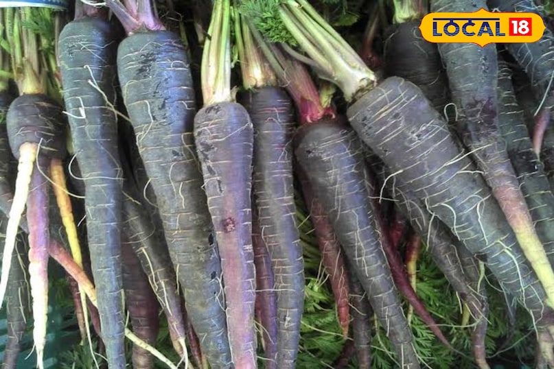 गाजर का कांजी 