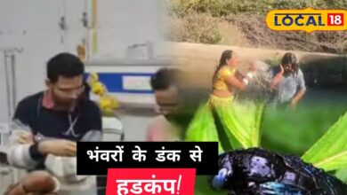 पाली में भंवरों का रहस्यमयी हमला