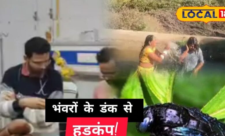 पाली में भंवरों का रहस्यमयी हमला