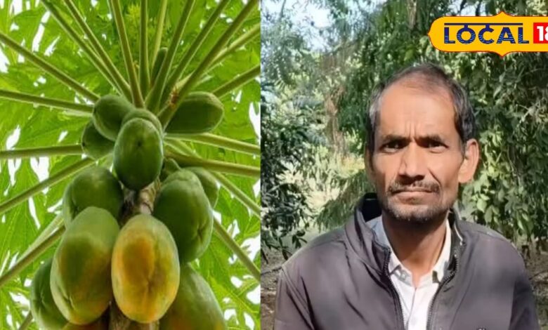 पिता से विरासत में मिले फलदार पेड़, लाखों में हो रही कमाई, एक हिस्सा पशु पक्षियों के लिए छोड़ देते हैं 