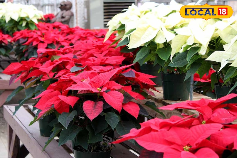 उदयपुर उदयपुर