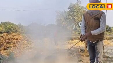 प्रॉफिट ही प्रॉफिट.. सर्दियों के 2 महीने में बना लेंगे साल भर का पैसा! बिना ज्यादा पैसा लगाए शुरू करें यह बिजनेस - Bihar News