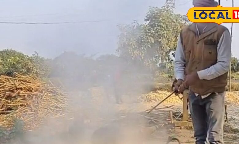 प्रॉफिट ही प्रॉफिट.. सर्दियों के 2 महीने में बना लेंगे साल भर का पैसा! बिना ज्यादा पैसा लगाए शुरू करें यह बिजनेस - Bihar News