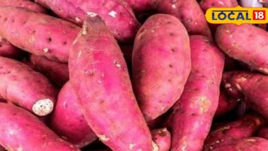 फाइबर से भरपूर है यह विंटर सुपरफूड फल, रसोई में इससे बनते हैं कई स्वादिष्ट व्यंजन, सेहत के लिए भी है फिट