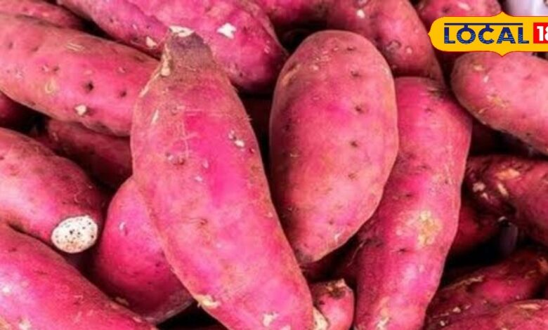 फाइबर से भरपूर है यह विंटर सुपरफूड फल, रसोई में इससे बनते हैं कई स्वादिष्ट व्यंजन, सेहत के लिए भी है फिट