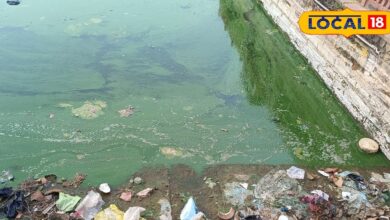 बदबू फैल रही...मचकुंड धाम की गंदगी पर ग्राउंड रिपोर्ट में हुआ बड़ा खुलासा