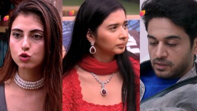 बिग बॉस 19 रिटन अपडेटः बच्चे के सवाल पर रोए गौरव, फरहाना से हुई लड़ाई, मालती ने रिवील किया अमाल का पहला मैसेज