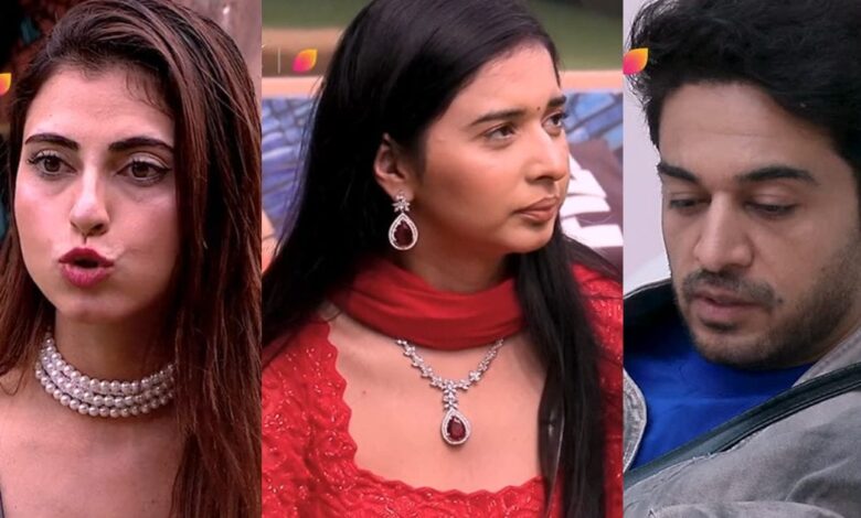 बिग बॉस 19 रिटन अपडेटः बच्चे के सवाल पर रोए गौरव, फरहाना से हुई लड़ाई, मालती ने रिवील किया अमाल का पहला मैसेज