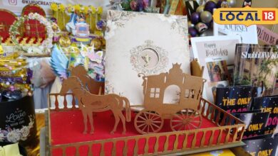 बीकानेर की आकांक्षा बिहानी का स्टार्टअप