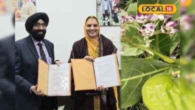 बेकार समझा जाने वाला थार का आक, अब बचाएगा सेना को सियाचिन की –40°C ठंड से! जानें कैसे