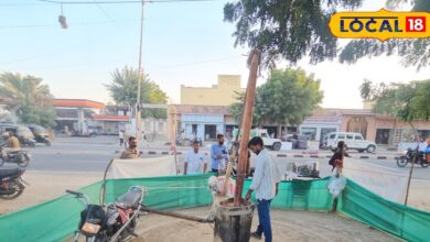 बैल और ड्राइवर की छुट्टी! इस अनोखी बाइक से घर बैठे बनाएं तिल का तेल