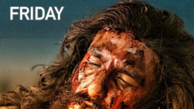 बॉक्स ऑफिस पर 'धुरंधर' की दहाड़, पुष्पा 2-छावा-एनिमल को दी पटखनी, बनाया नया रिकॉर्ड