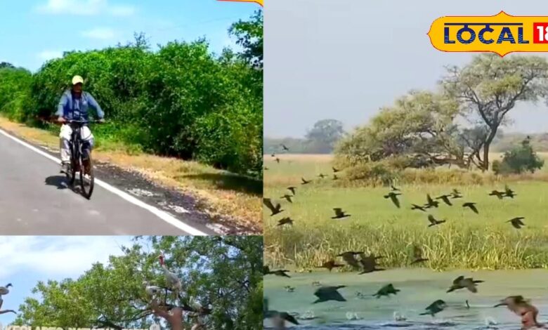 भरतपुर: 35 साल बाद घना में लौटी हरियाली, केवलादेव पार्क में मिलीं कई दुर्लभ वनस्पतियाँ