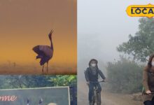 भरतपुर केवलादेव नेशनल पार्क गाइड