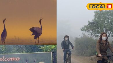 भरतपुर केवलादेव नेशनल पार्क गाइड