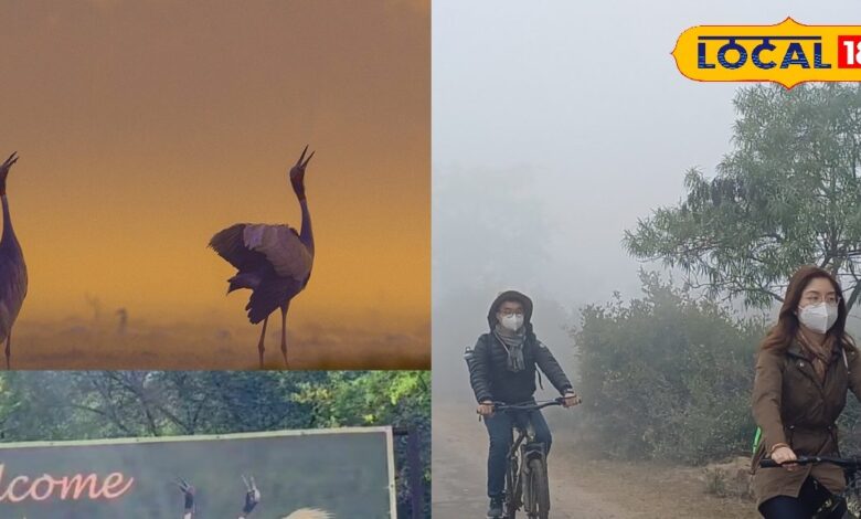 भरतपुर केवलादेव नेशनल पार्क गाइड