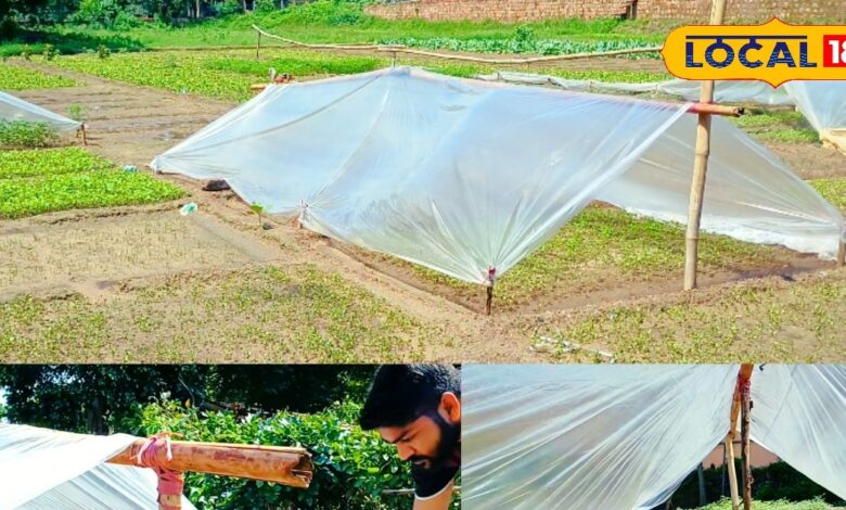 भरतपुर: बांस-पॉलिथीन तकनीक से सर्दियों में सब्जी की पौध सुरक्षित
