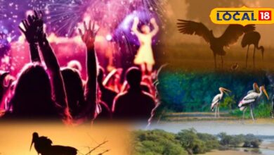 भरतपुर में मनाएं न्यू ईयर