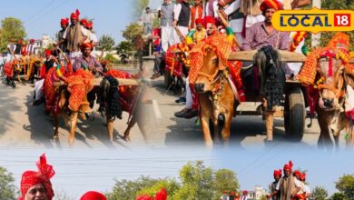 भाई ने बहन के भात में बैलगाड़ी से पहुंचकर रचा मिसाल